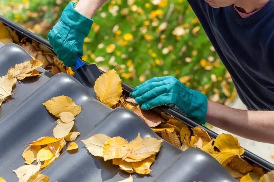 Efficient Gutter Cleaning in Sycamore, IL