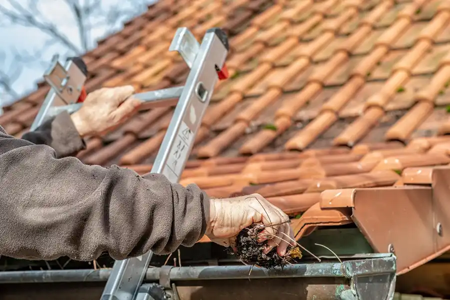Reliable Gutter Cleaning in Sycamore, IL