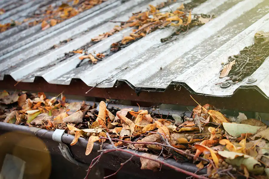 How To Clean Gutters in Sycamore, IL