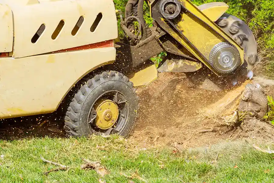 How To Grind A Stump in Sycamore, IL