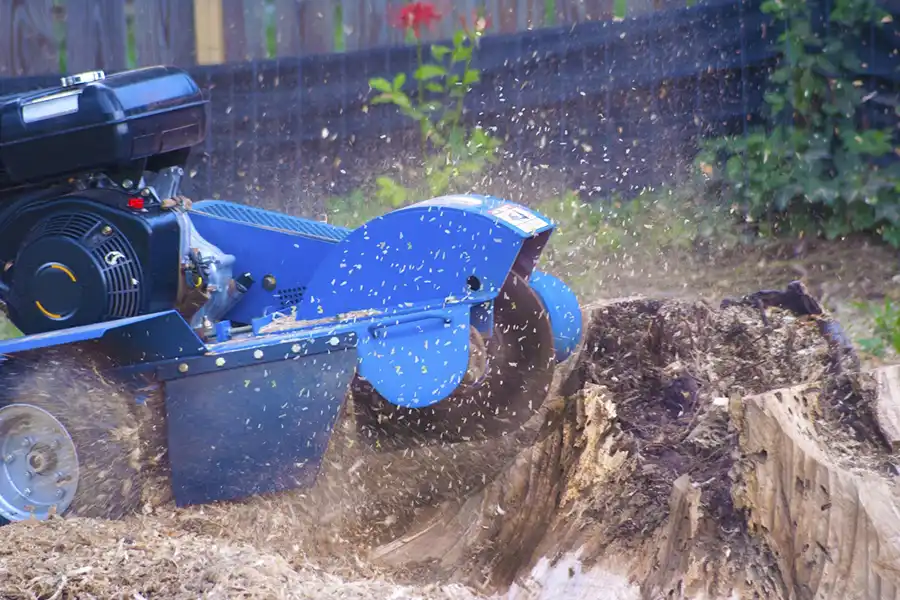 Efficient Stump Grinding in Sycamore, IL