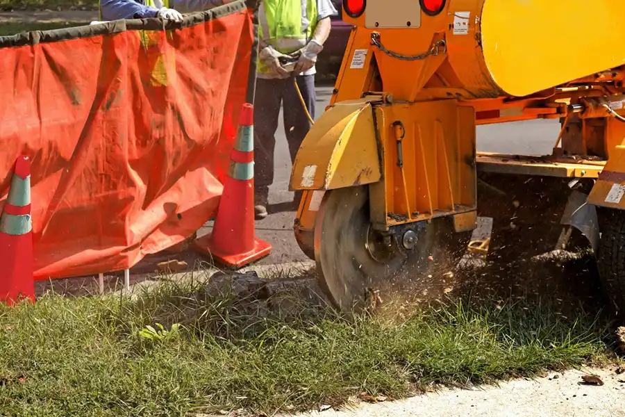 Best Stump Grinding in Sycamore, IL